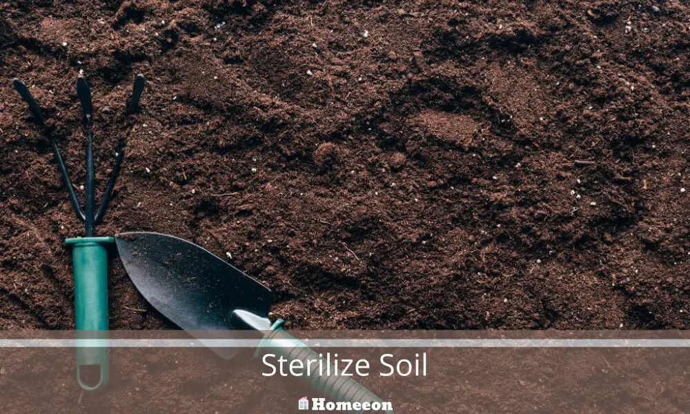 Sterilize Soil