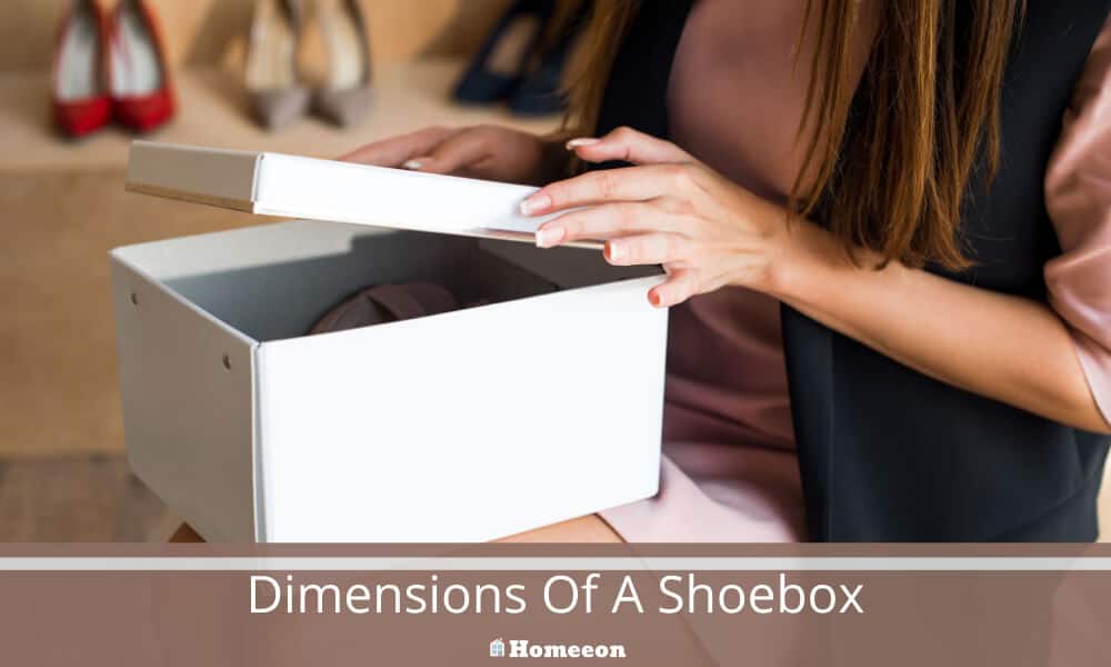 Dimensions Of A Shoebox