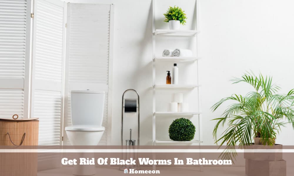 Get Rid Of Black Worms In Bathroom