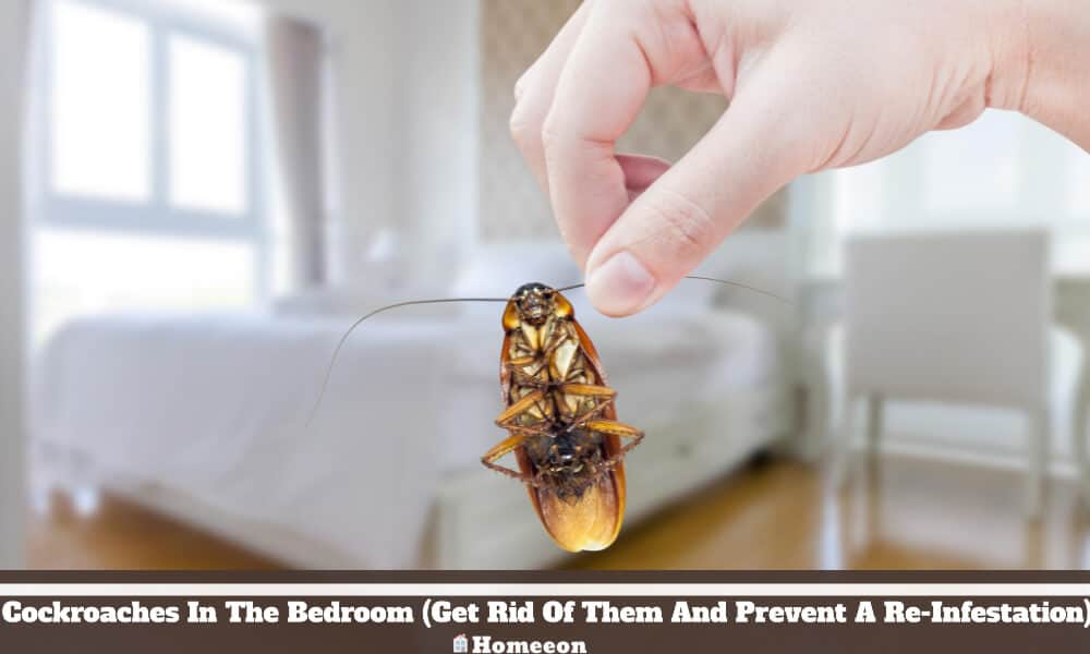 Get Rid Of Them And Prevent A Re-Infestation