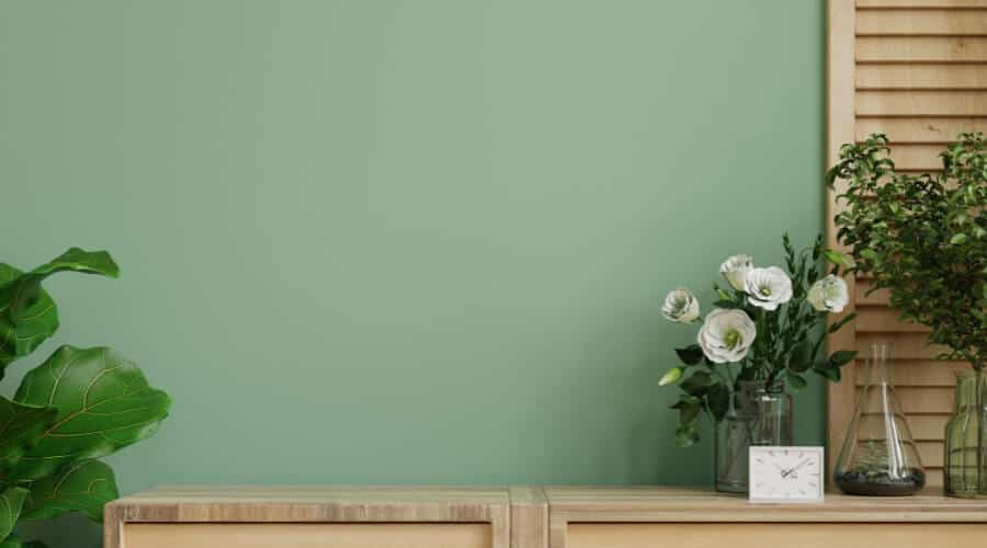 Lime Green Walls