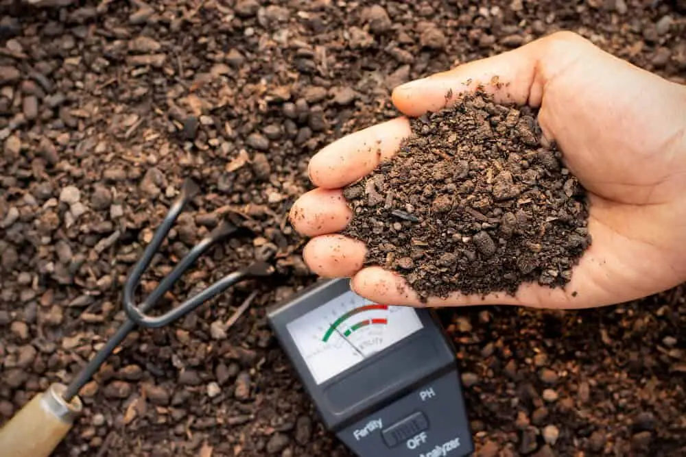 Moisture meter for soil plants lawn and home.jpg
