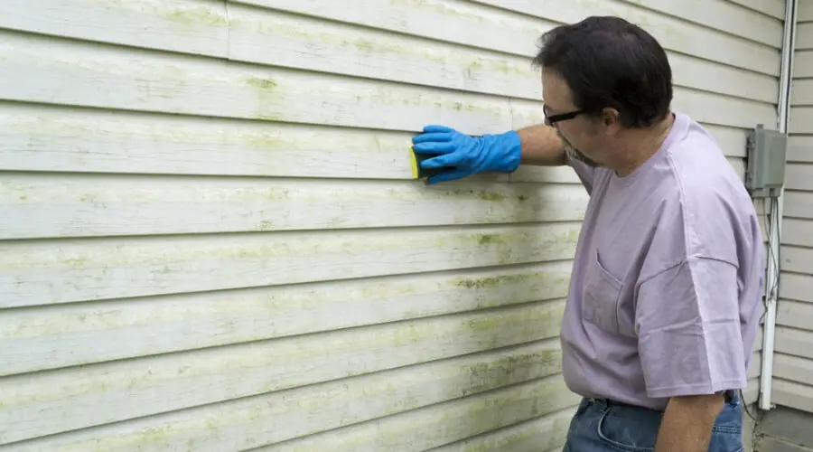 Simple Steps To Remove Stains From Vinyl Siding