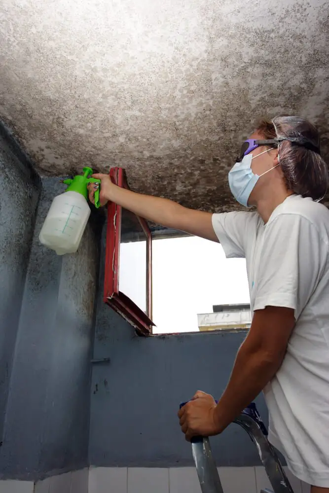 Steps Of Fixing Bathroom Ceiling Molds