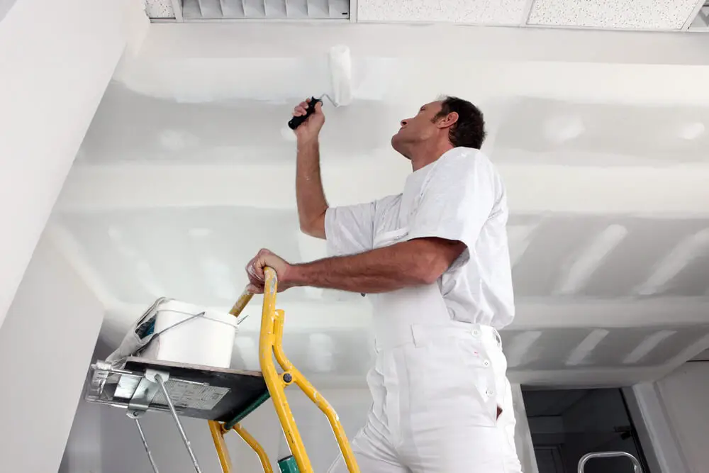 Paint Over Mold On The Bathroom Ceiling