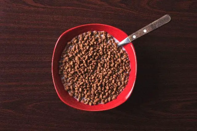 Lentil starts with L.jpg