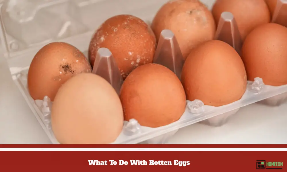 What To Do With Rotten Eggs