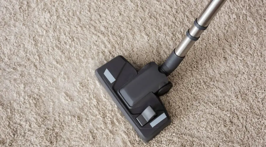 How Can Dry Carpet Fast After Cleaning