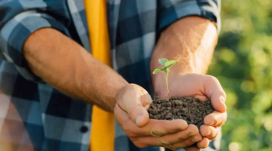 Why Is Potting Soil From Dollar General Great For Your Garden