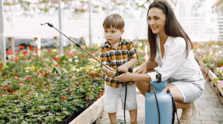 Benefits Of Indoor Gardening