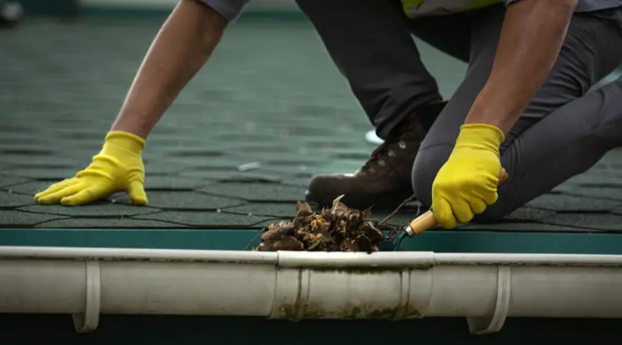 Problems Resulting From Not Cleaning Your Gutters